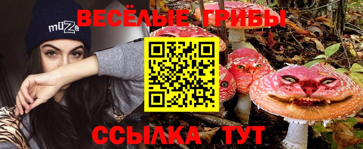 Псилоцибиновые грибы Psilocybine cubensis Усть-Джегута